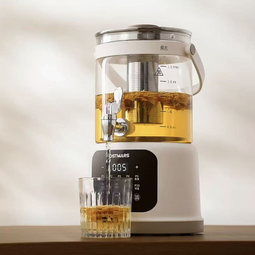 Multifunctional Electric Water Kettle