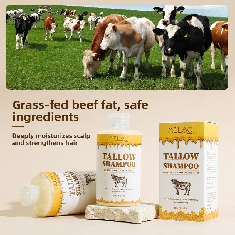 Beef Tallow Shampoo for Moisturizing and Frizz Control
