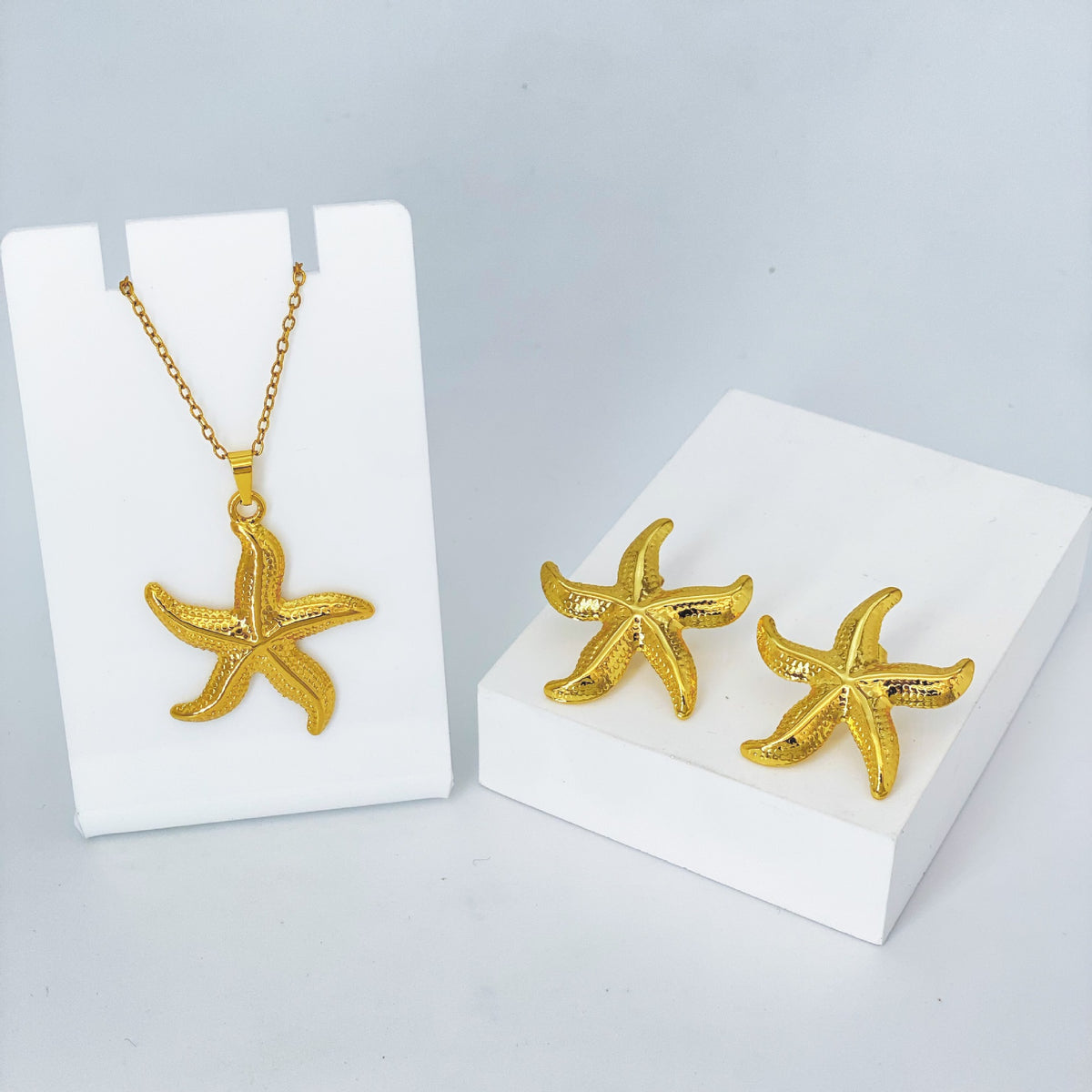 Stainless Steel Earrings and Necklace