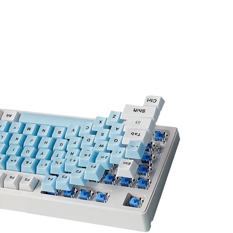 Forerunner MT87 Wireless Mechanical Keyboard