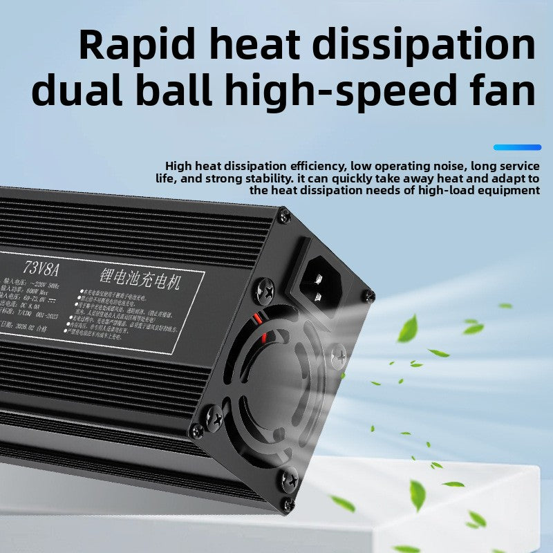 Intelligent Fast Lithium Battery Charger