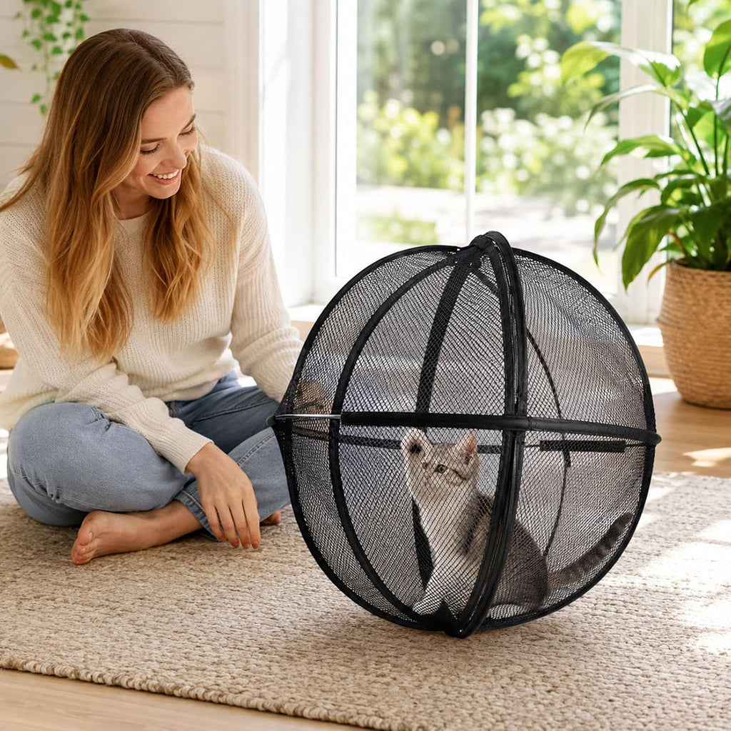 Portable pet ball cage