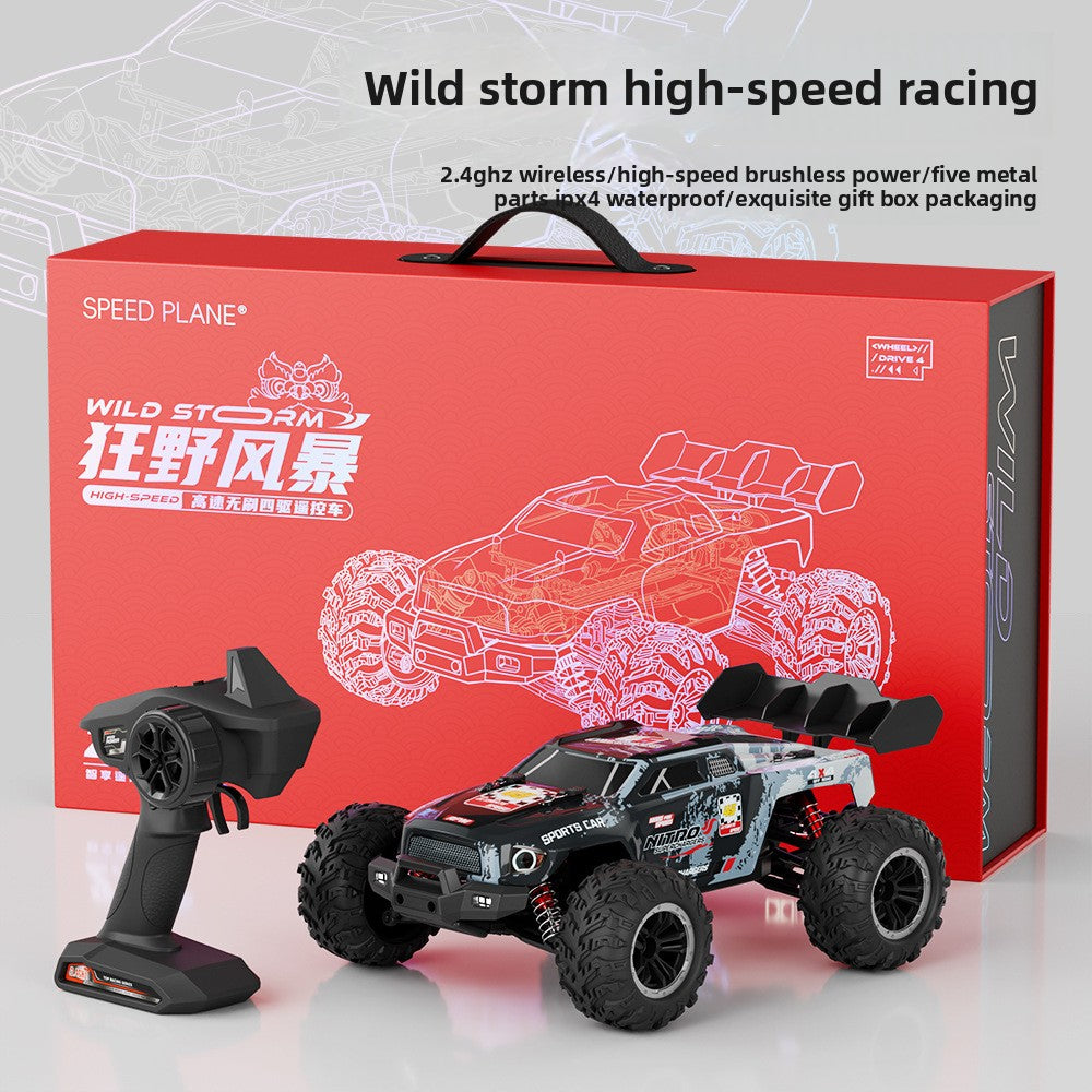 Professional RC Remote Control Car