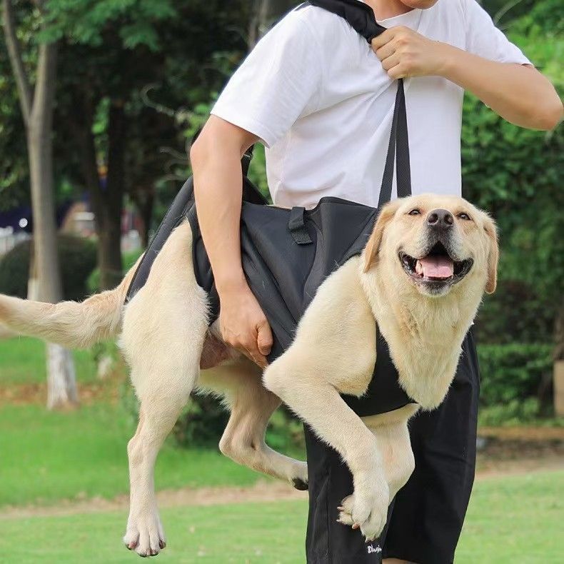 Adjustable Dog Support Harness for Elderly and Injured Pets