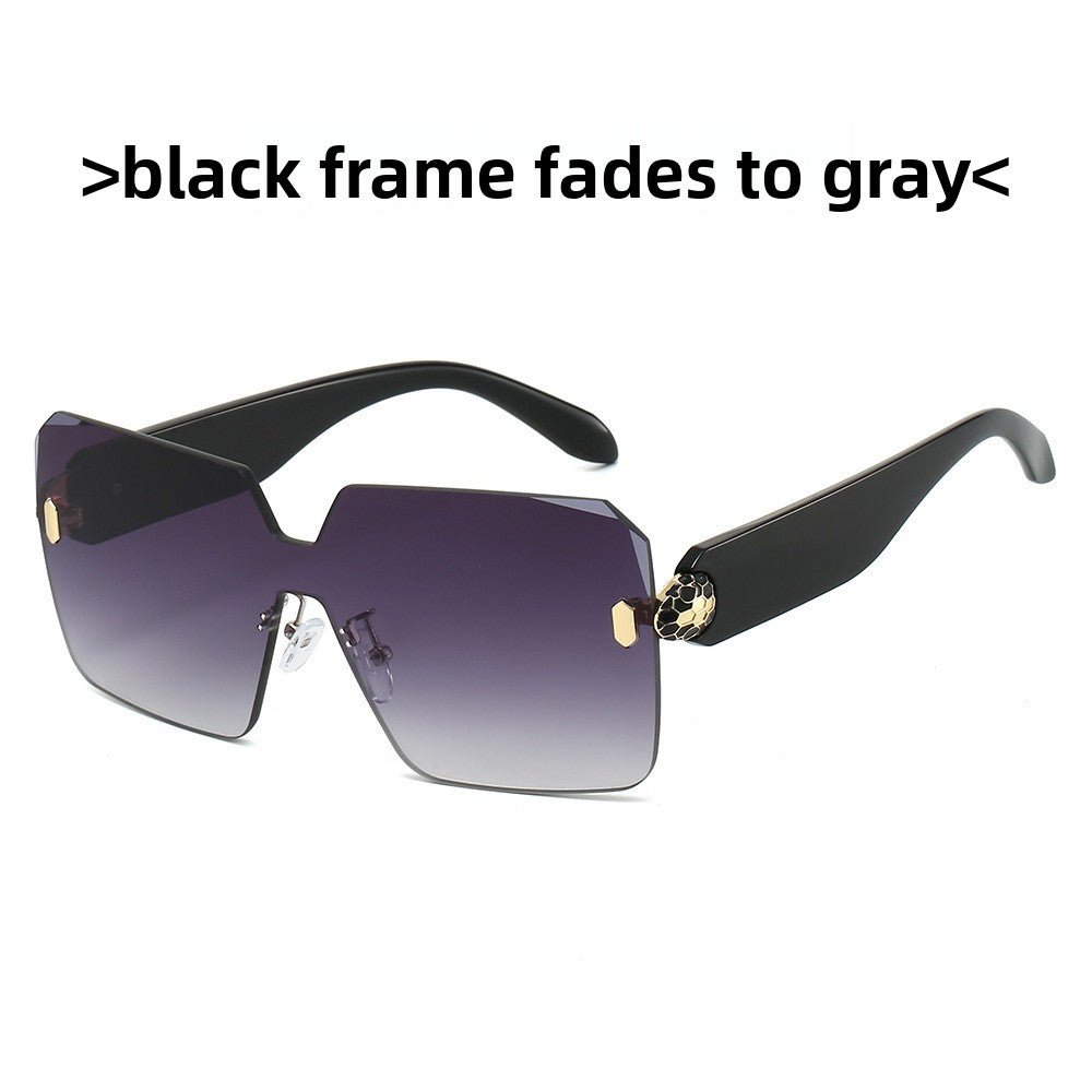 Women Fashion Square Sunglasses