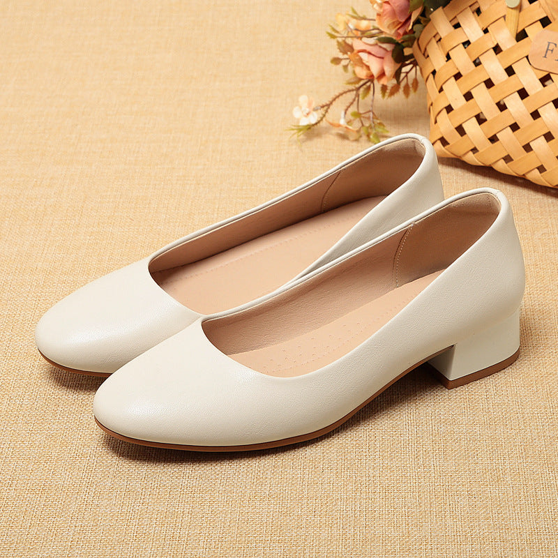Womens Low Heel Professional Work Shoes