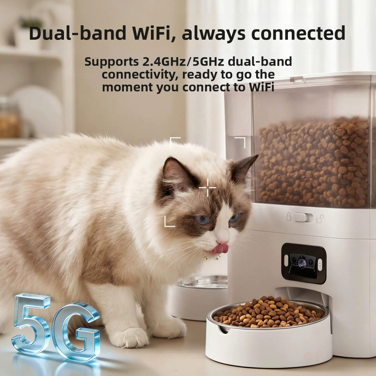 Pet Feeder