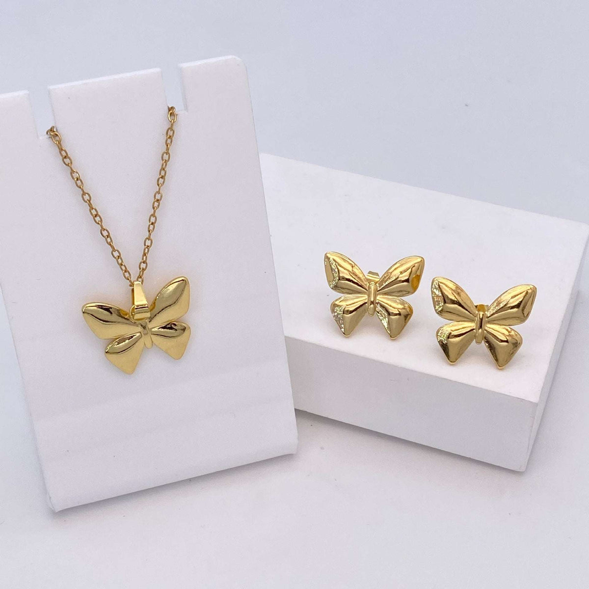 Stainless Steel Earrings and Necklace