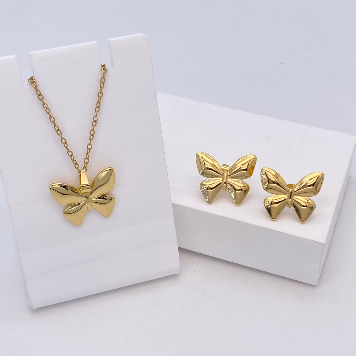 Stainless Steel Earrings and Necklace