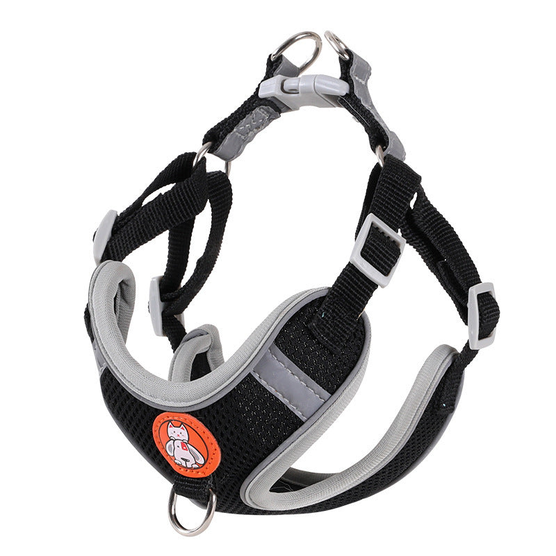 Dog Leash