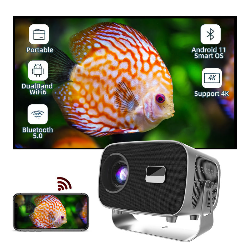 Ptz Projector