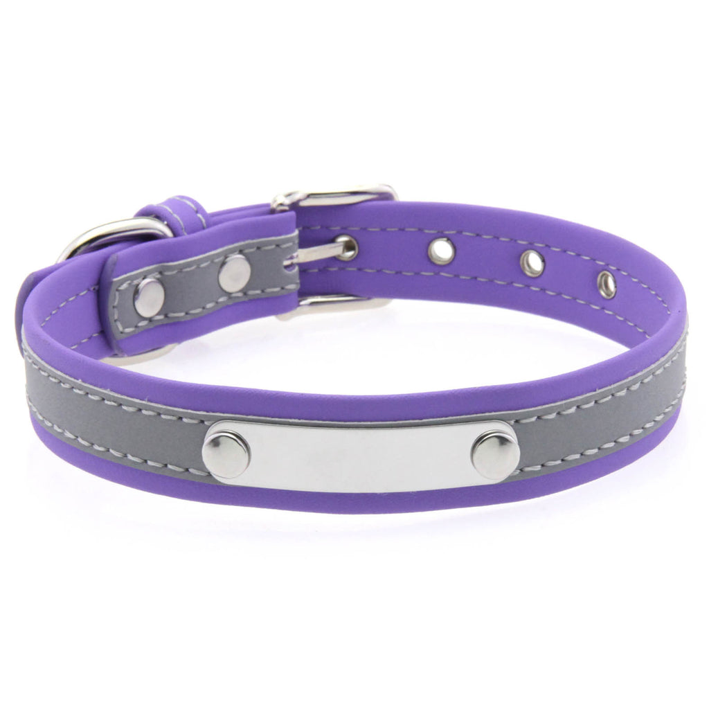 Stainless Steel Engraved Reflective Pet Collar with Leash