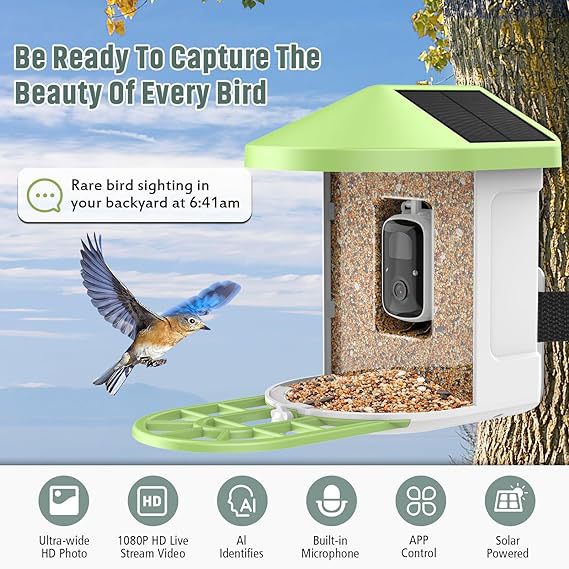 Solar AI Bird Feeder with Night Vision Camera